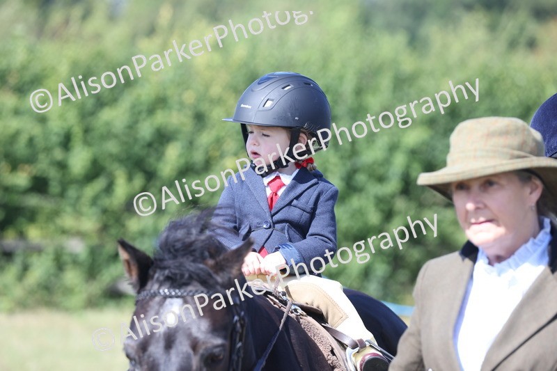 20250831-3122 - Class 24 - Absolute Beginners Pony