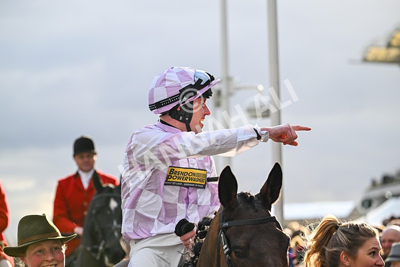 110325-Race 5-Golden Ace-3551 - 11th March