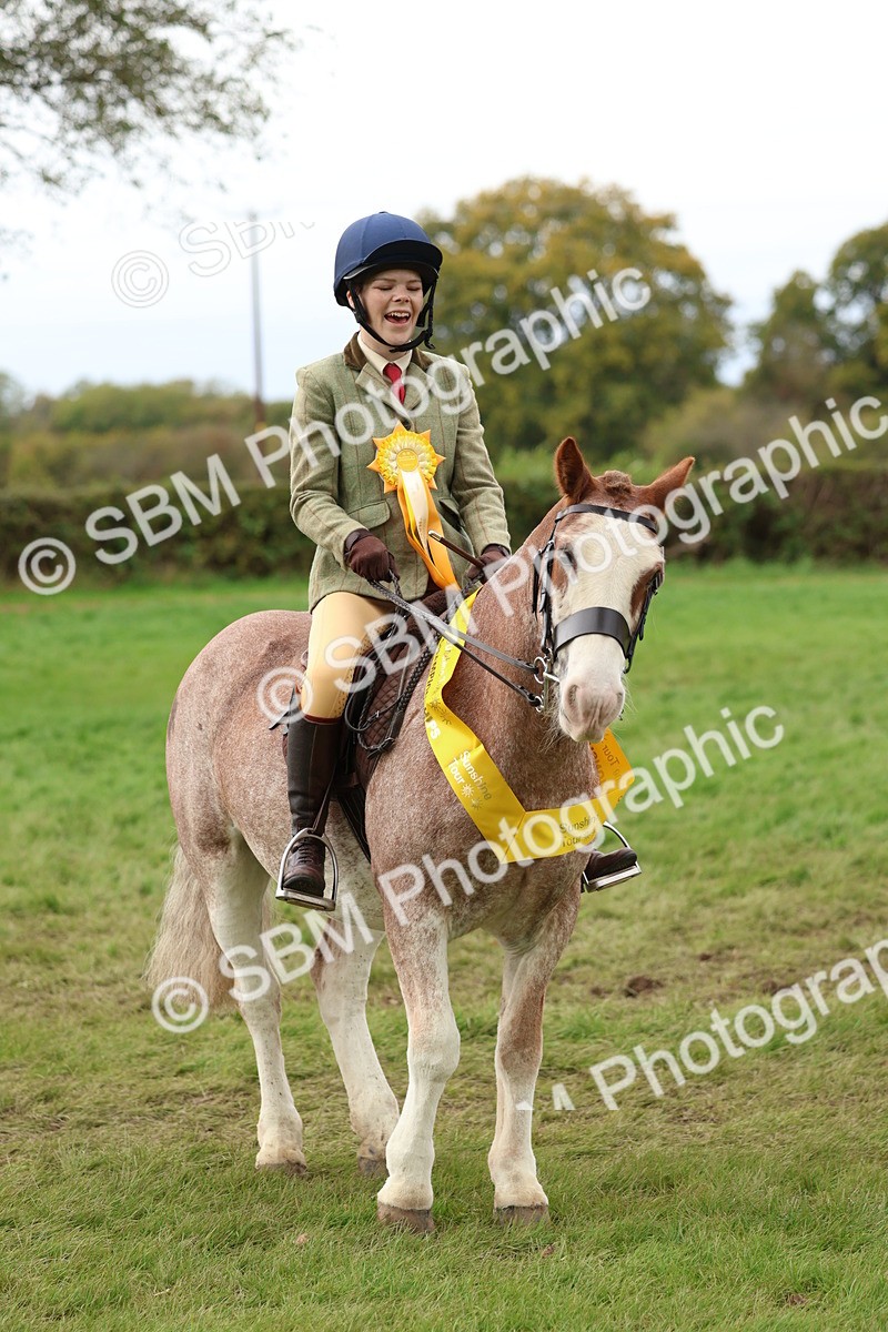 SBM_67558 - S60 - Mini Show Cob Ridden