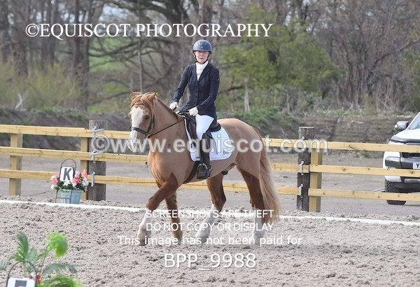 BPP_9988 - MY QUEST NOVICE 2