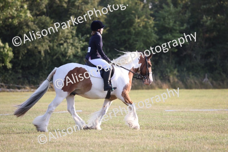 20250731-0807 - Class 1 - Intro 4