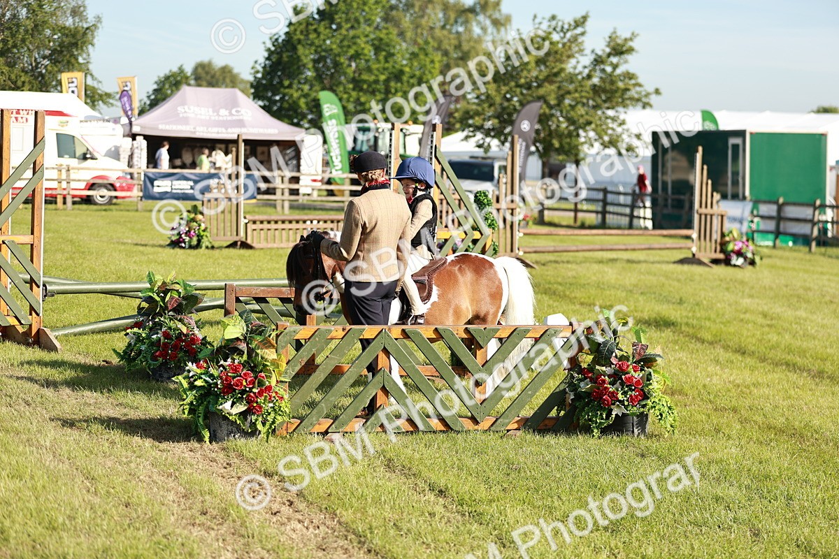 SBM_11184 - Class 106-107 - BSPS LIHS Working Sports Pony