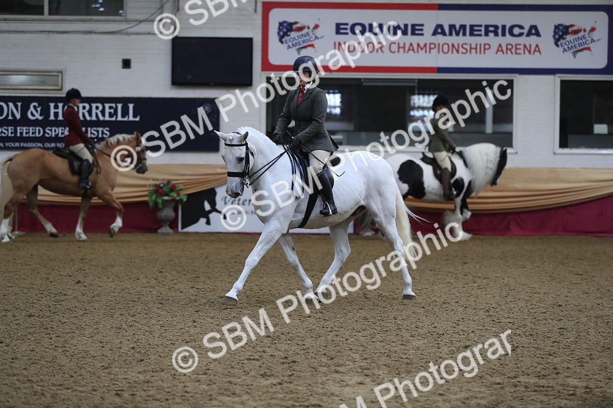 SBM_10405 - Class 102 Equitation (best rider) Adult