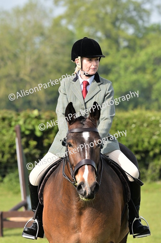 20260426-0890 - Class 18 - Novice Showing