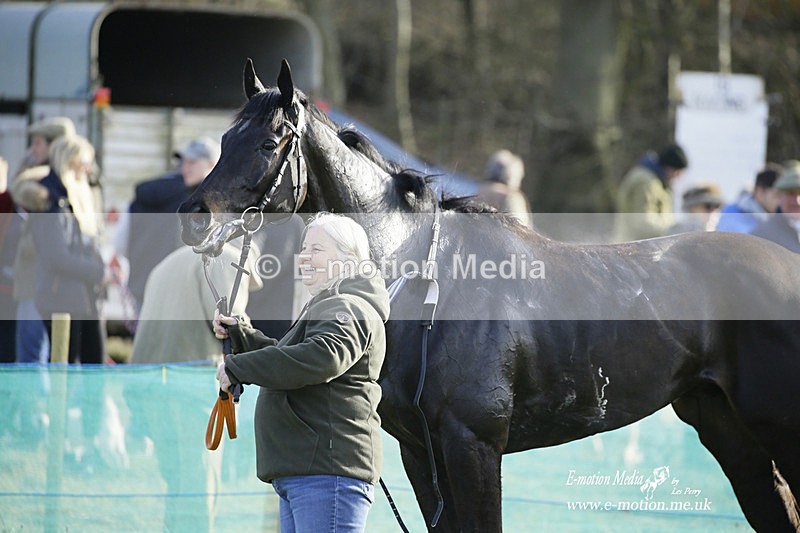 PtP 260222 767 - Kingston Blount Racing Club Point-to-Point 26/02/22