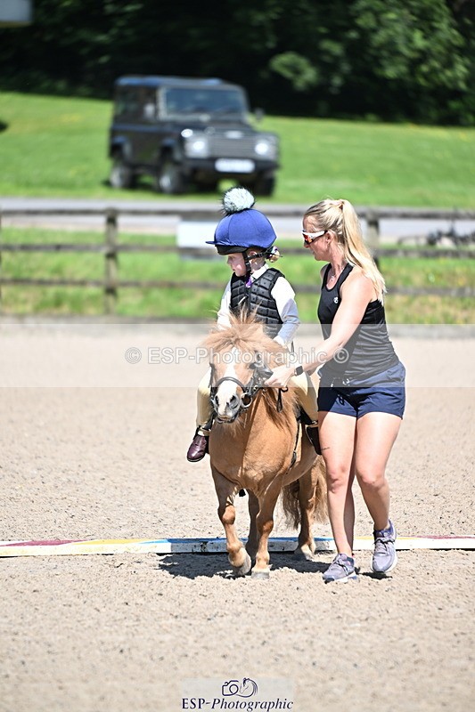 240729B-111117-02254 - Showjumping Competition