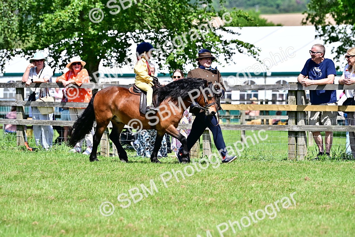 SBM_05899 - Class 59-60 - TSR M&M  Lear Rein and First Ridden Amateur of the year