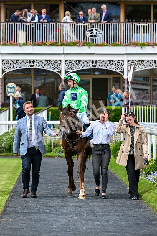 120626-Race 2-Everatease-6877 - Race 2 14.25pm Constant Security Keeping York Racegoers Safe Rous Selling Stakes