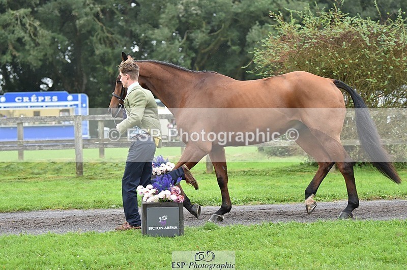 231018-123638-00395 - 048-MASTER.LOUIS-George.Vergerson-rowley-TrotUp