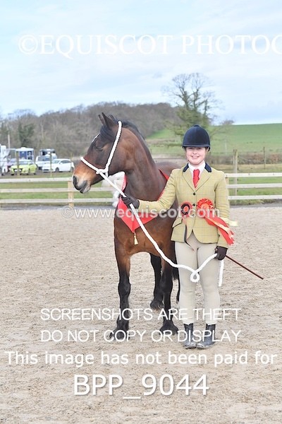 BPP_9044 - RING 2 - M&M