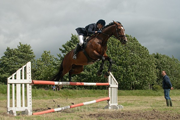 18 - Moniaive Horse Show 2010