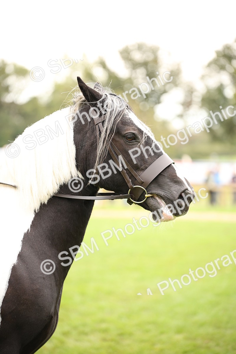 SBM_73498 - S68 - Traditional Cob Ridden