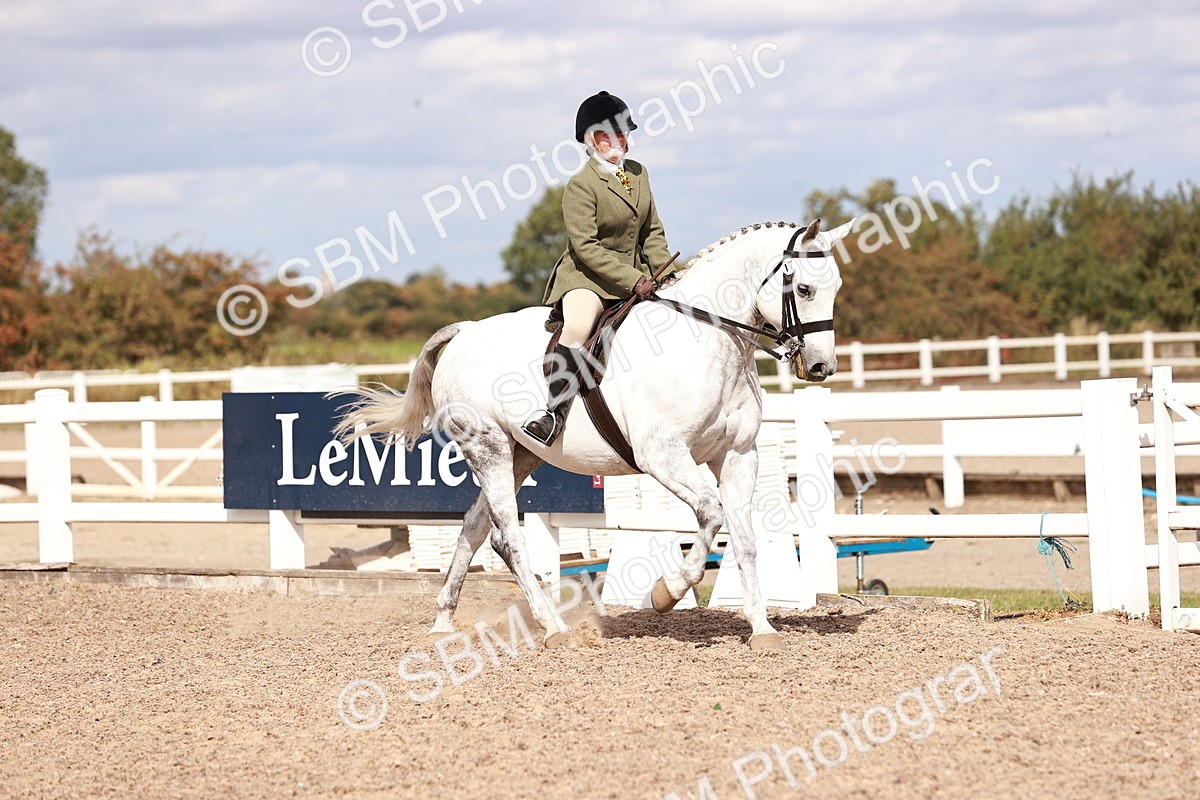 SBM_14425 - Class 410 - Grassroots Ridden - Horse