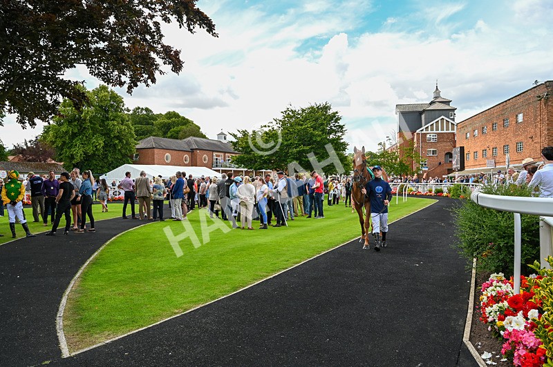 260724-Graham Lee Stable Staff Stakes-6921 - Graham Lee Stable Staff Stakes