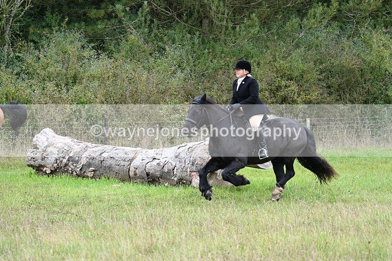 WJ7_3804 - Camera 1 Line 1