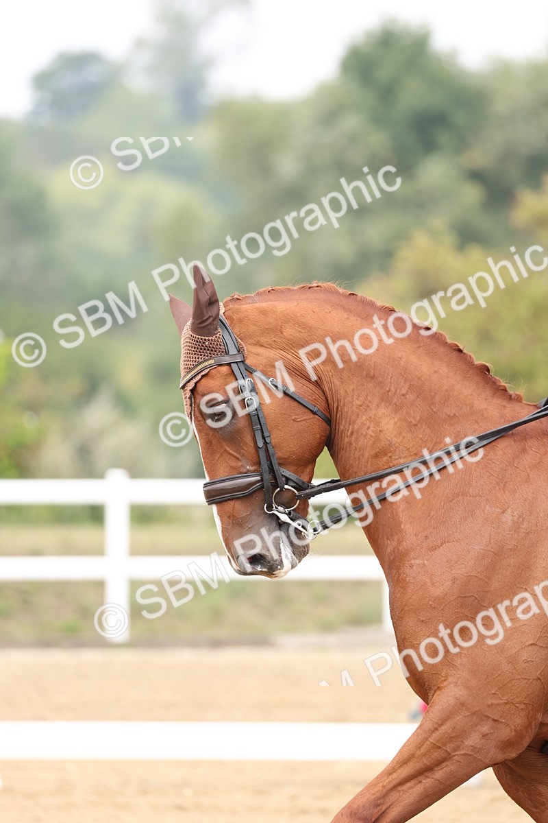 SBM_007430 - Class 9 - FEI INT I - 14.57-15.45