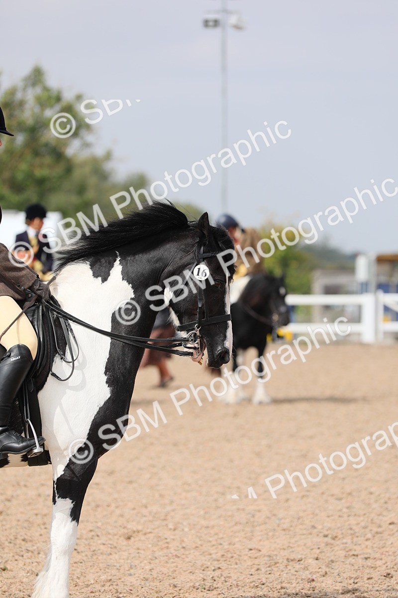 SBM_12782 - Class 307 Ridden Coloured Pony