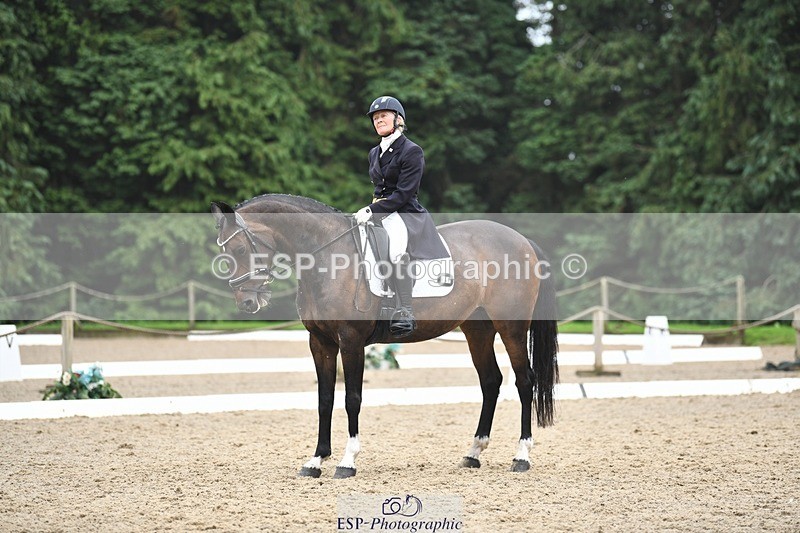 240720-154217-06080 - 246-Alex_Farleigh-Fifty_Shades_of_Bay