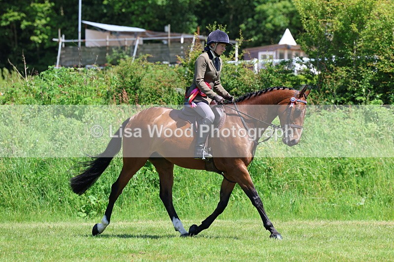 3E7A8033 - Working Hunter Championship