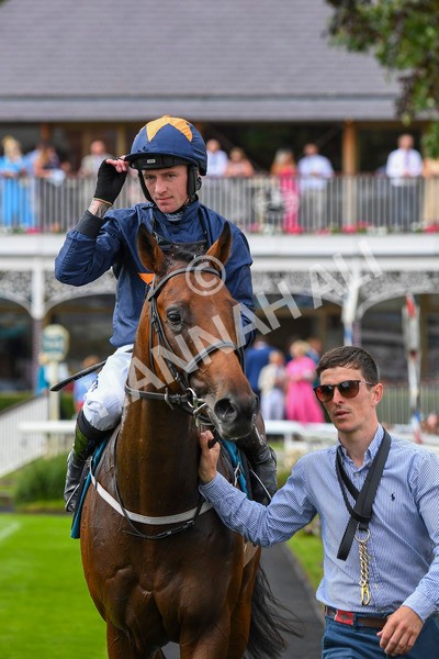 290723-Race 4-Blue Prince-0719 - Race 4 4.00pm 50K ITV7 Weekly Jackpot Nursery Handicap