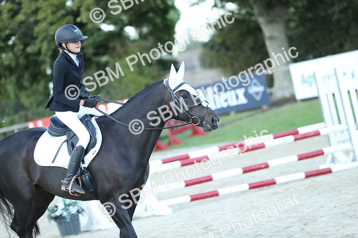 SBM_53666 - Supreme Championship 65cm 70cm