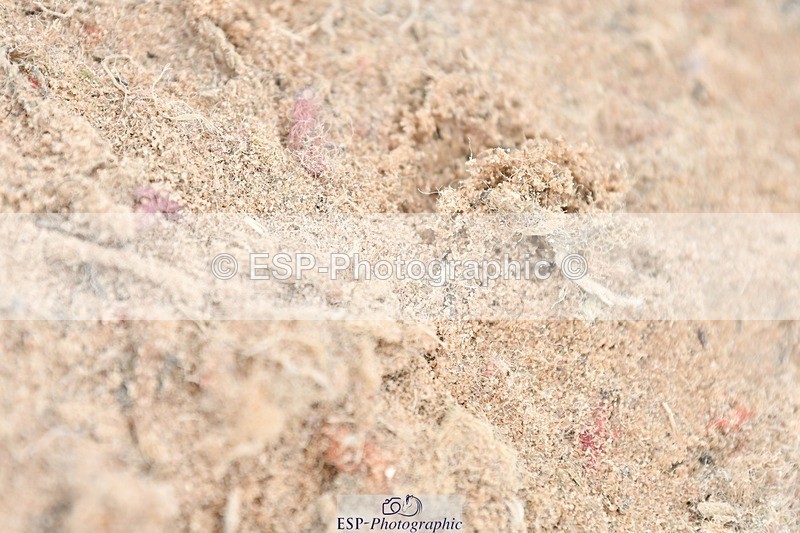 251026-140619-03271 - Cls 29-32 All 128cm 138cm Classes