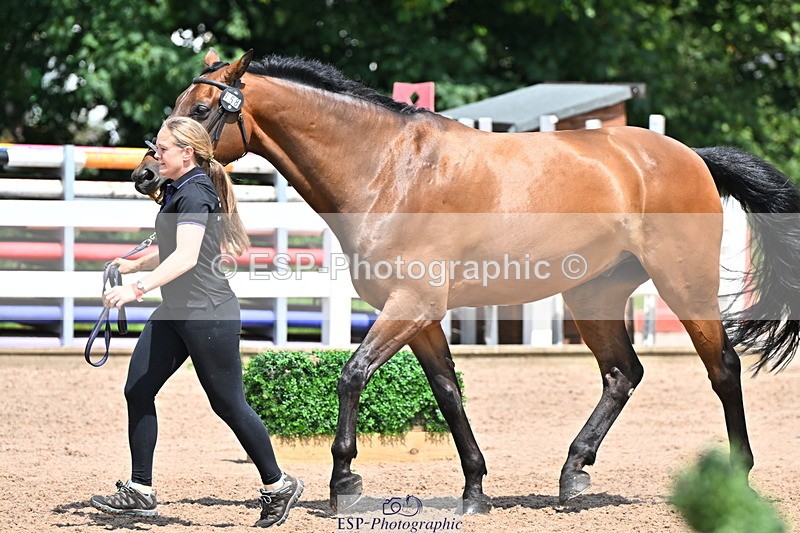 240718A-105317-01809 - Trot Up 1pm to 2pm