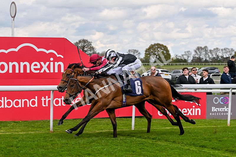 150426-Race 1-Thankfully-4668 - Race 1