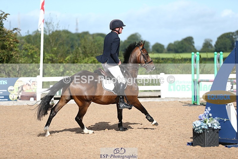 230811A-092558-02848 - Cls 13 A&B Snr Brit Nov & 90cm Open