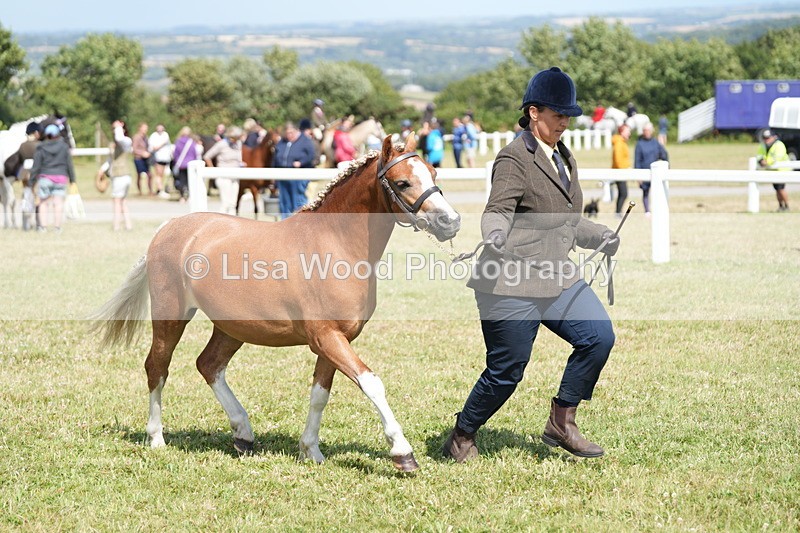 DSC07313 - Class 68: NPS SHP Youngstock