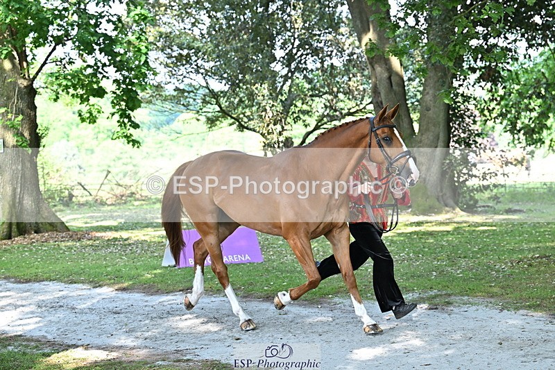 250521A-162250-01099 - C-217-Polly.Kilgour-RENKUM.LADY.VOS