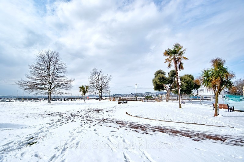 Torquay Seafront in snow - Snowy Views