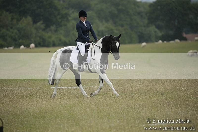 B230619-0374 - Bourne Valley Riding Club Summer Show 23/06/19