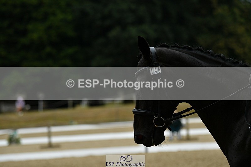 250718A-101425-00081 - 146-Georgina.Dudden-Wellpark.M'Lady