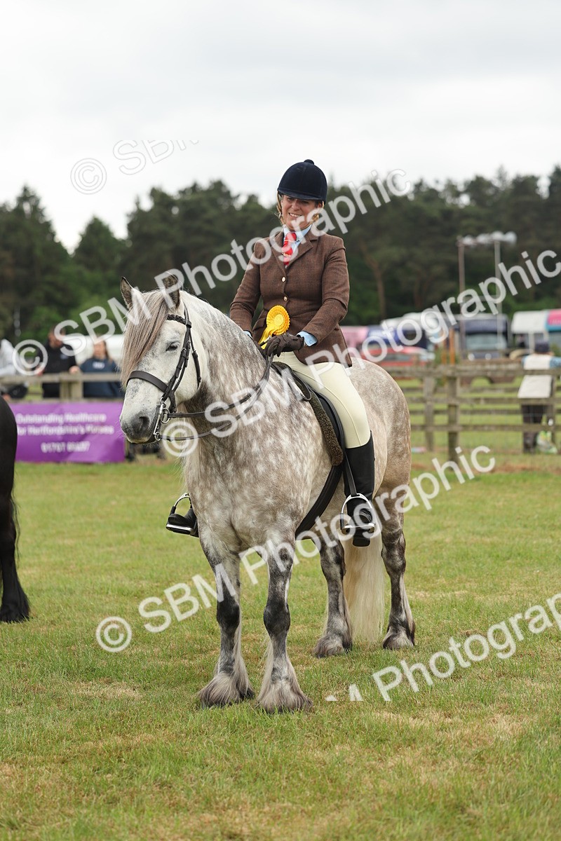 SBM_09052 - Class 78-80 - Ridden M&M Non Welsh Ponies