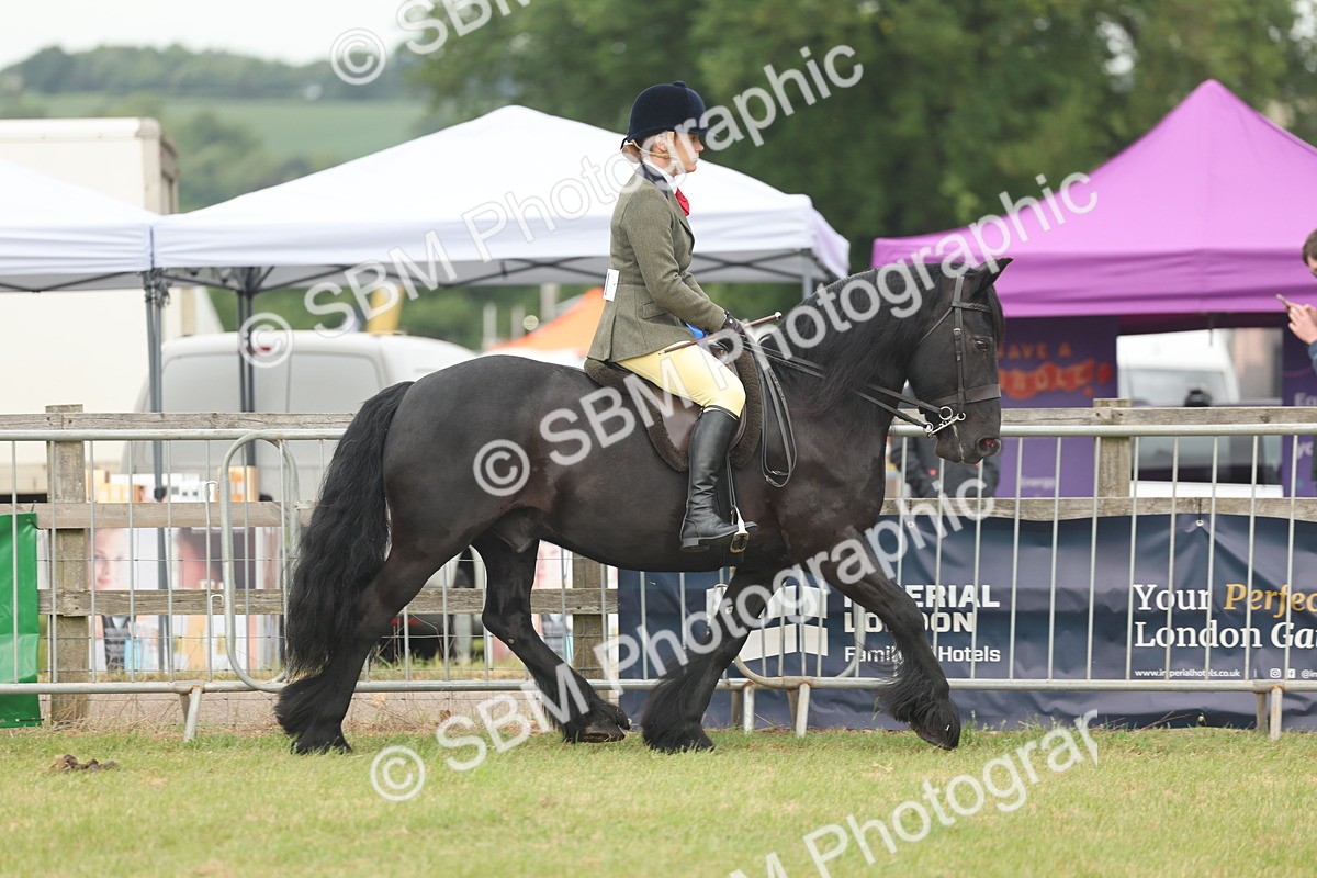 SBM_09099 - Class 78-80 - Ridden M&M Non Welsh Ponies