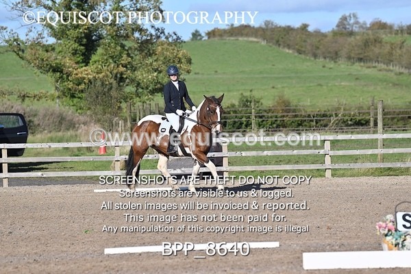 BPP_8640 - SHORT ARENA