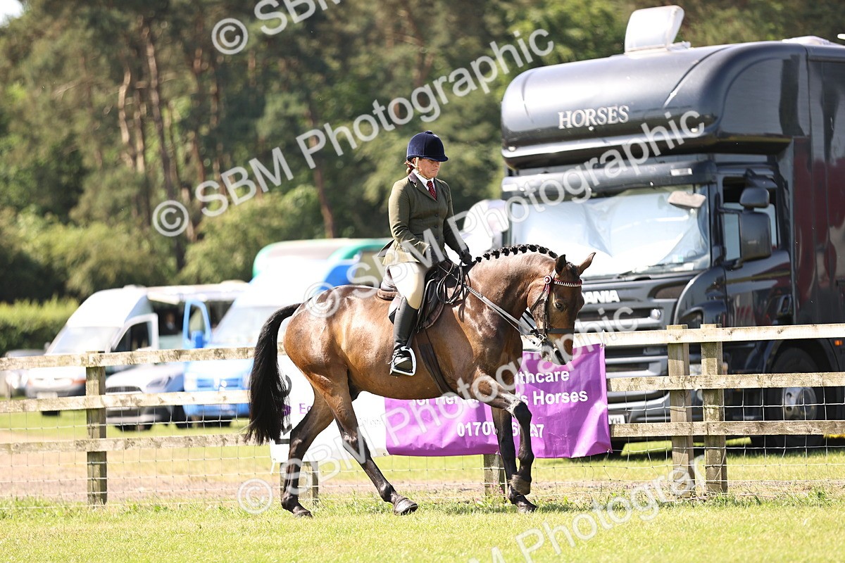 SBM_12983 - Class 75-76 LIHS BSHA Rising Star Hack Riding Horse