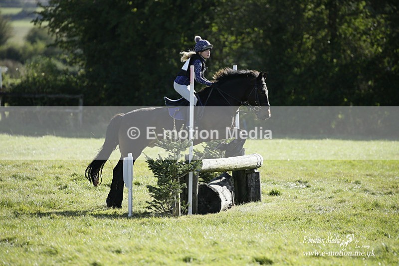  WWHT 031021 1280 - Open Novice (0.80m) 03/10/21