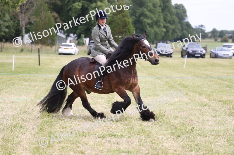 20260614-2944 - Class 22 - Open Working Hunter