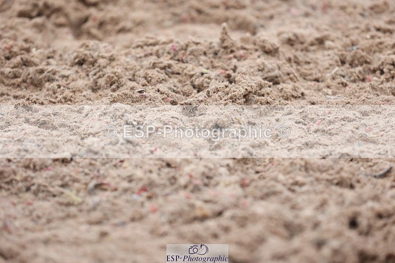 240121A-141533-01821 - Cls 18 FEI PSG