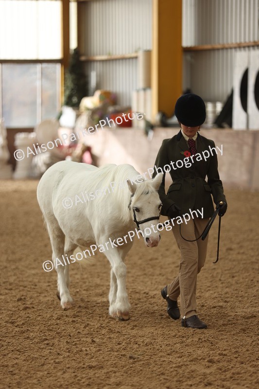 20251109-0560 - Class 21 - Mares 4 Years and over