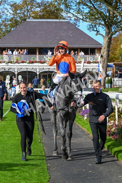 111025-Race 2-Grey Cuban-0294 - Race 2 Coral 'Pipped At The Post' Handicap at York