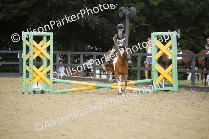 20250622-1280 - 40cm