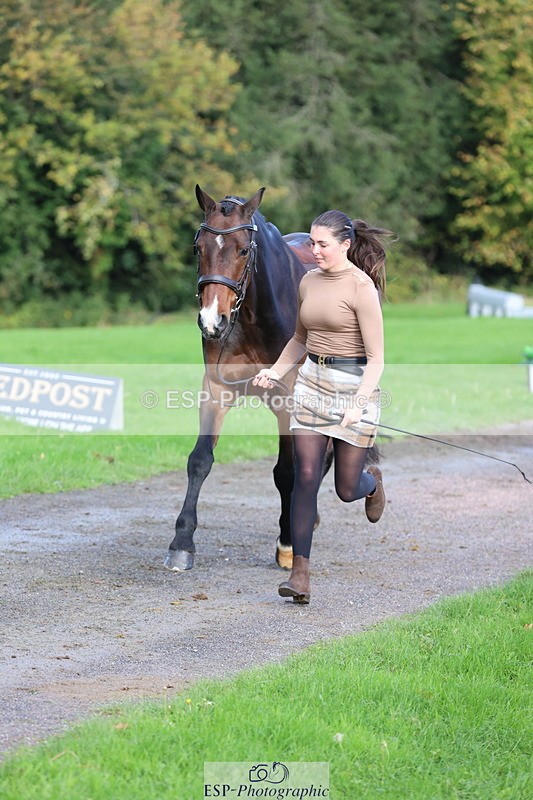 251026A-101959-22892 - D-354-Poppy.Burner