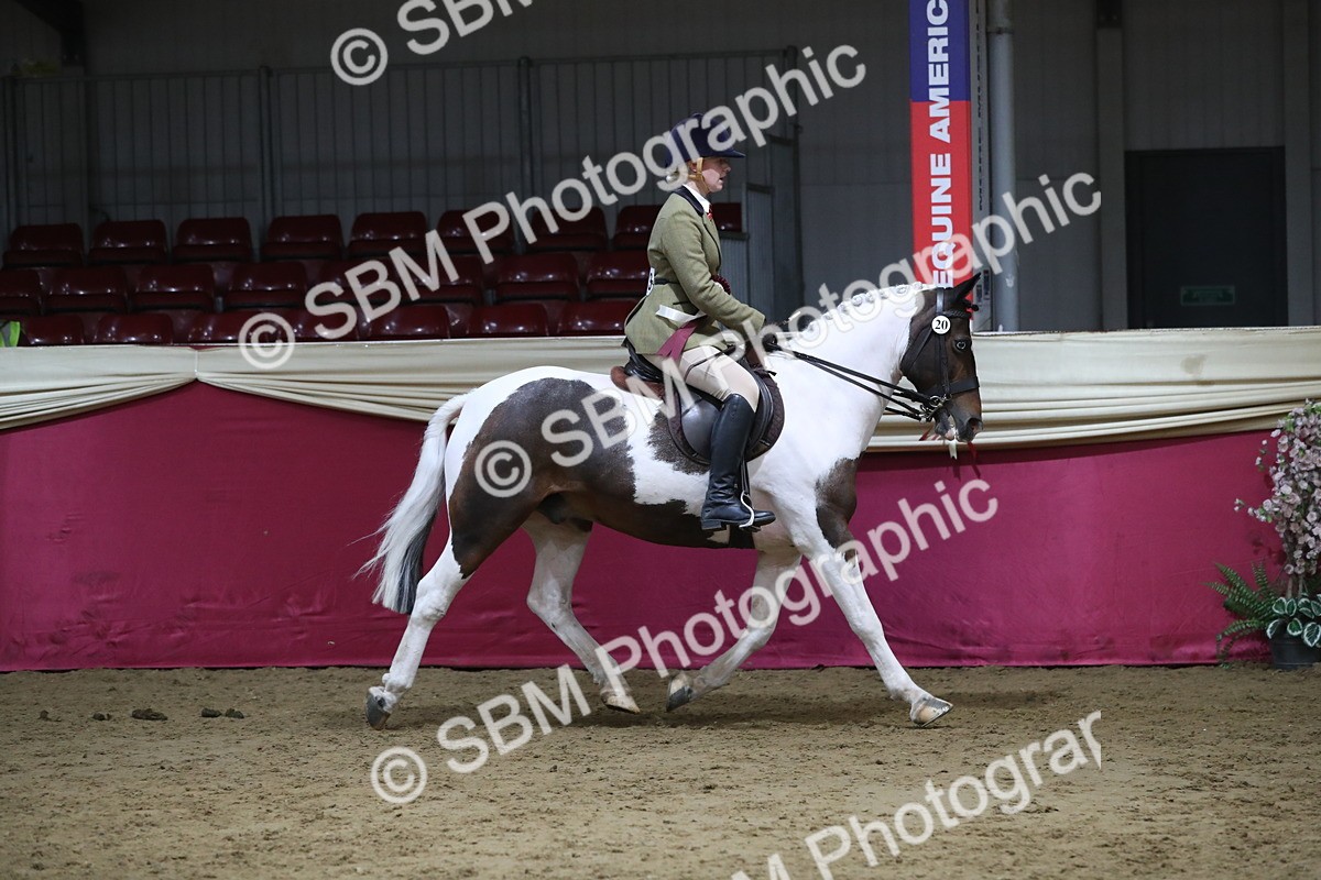 SBM_08498 - Class 11R Regional Ridden Veteran