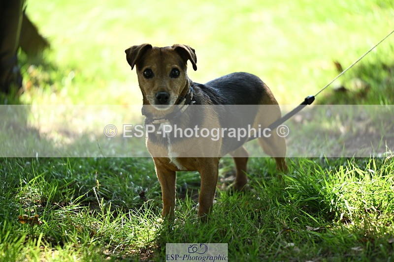 240729B-105307-02164 - Hamlin Cup and Group Photos