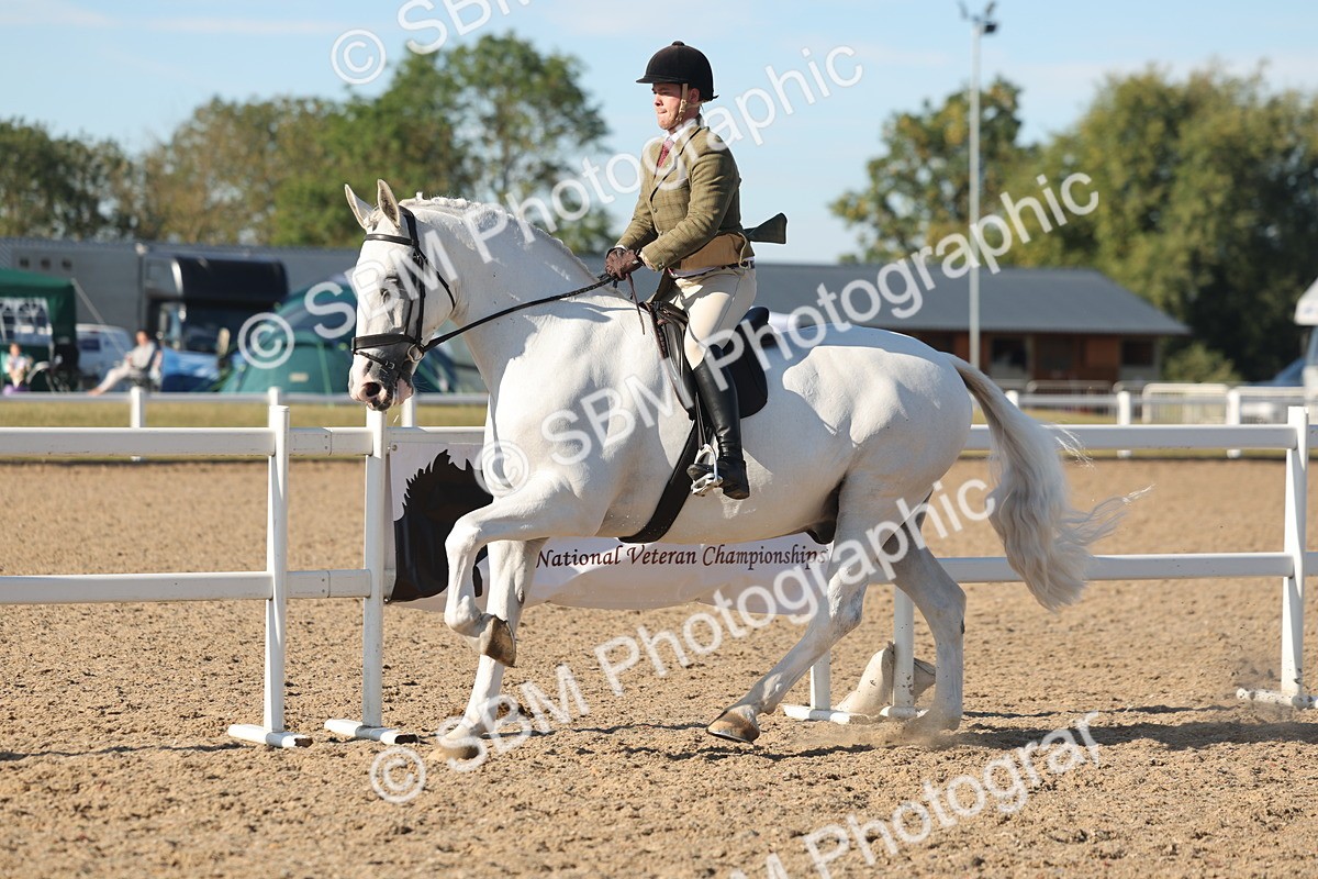 SBM_12192 - Class 303 - Ridden Pure Bred Horse Pony