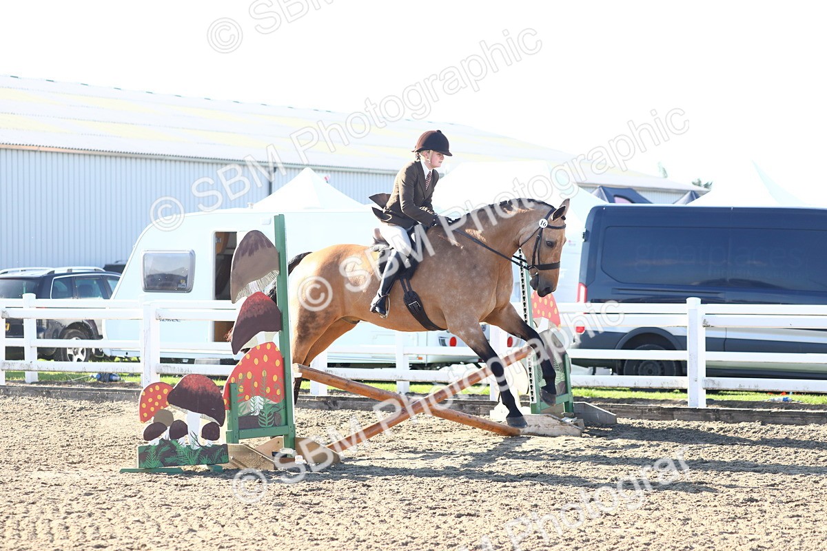 SBM_08567 - Class 502 - Riding Club Horse