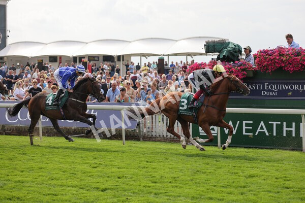 yr20082021r2-43 - Race 2 2.25pm Weatherbys Hamilton Lonsdale Cup (British Champion Series race)
